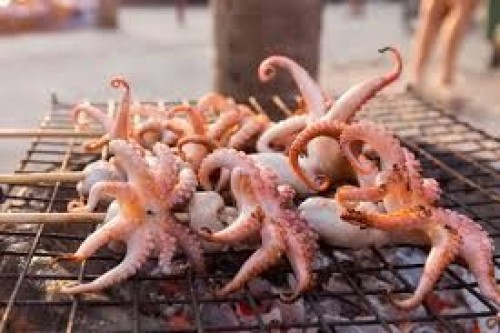 Squid (calamari)