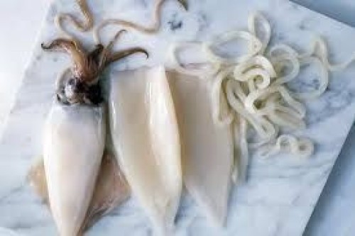 Squid (calamari)